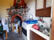 Zakros Ostkreta, Zakros: Baugrundstück mit zwei kleinen Häusern und Olivenbäumen zu verkaufen Haus kaufen